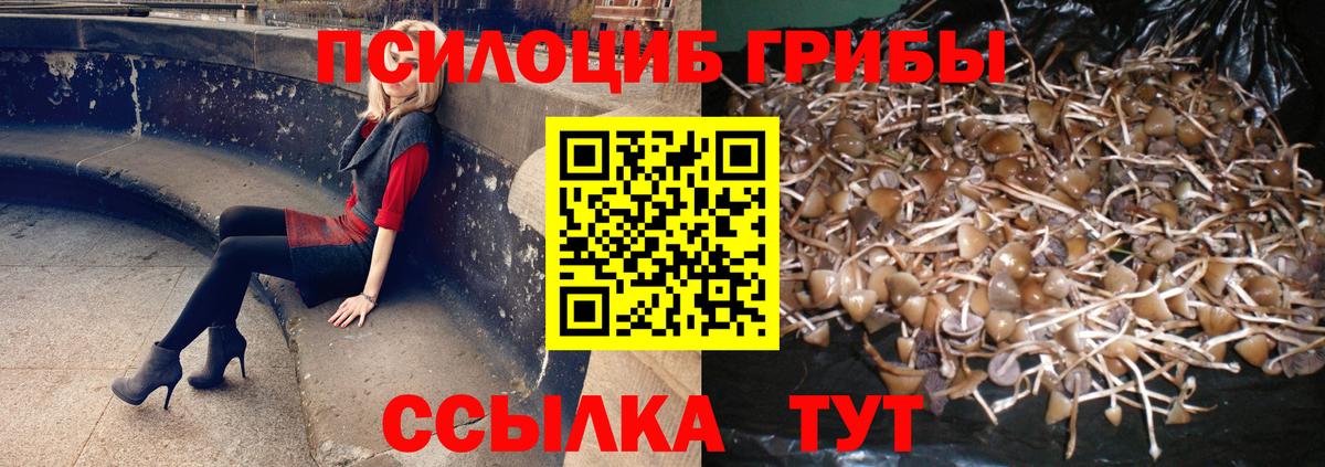 Кунгур  Галлюциногенные грибы Magic Shrooms  Вход с VPN 